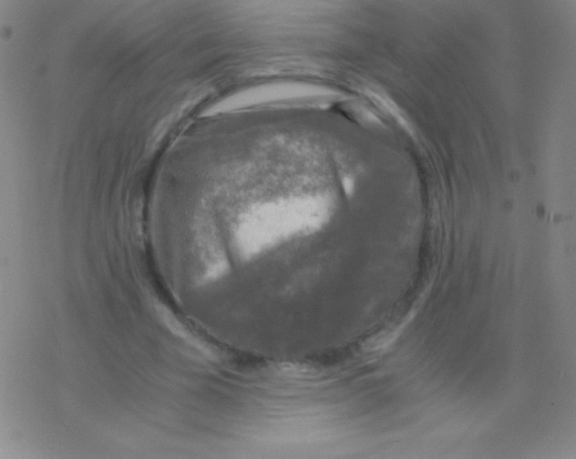 X0000076310585200610271941