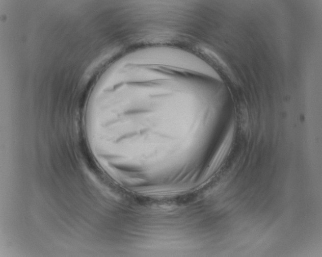 X0000076310586200610271941