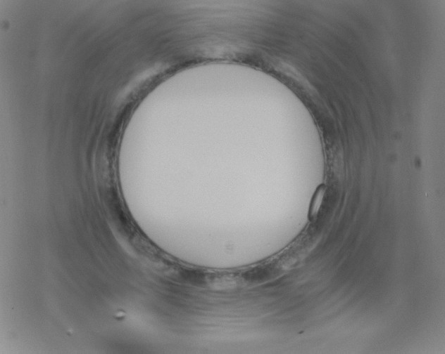 X0000076310587200610271941