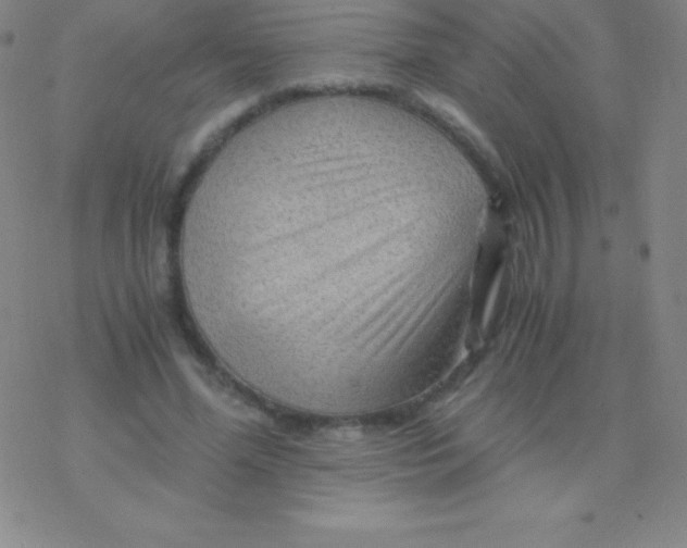 X0000076310588200610271941