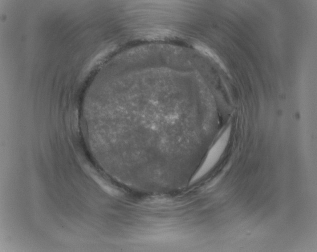 X0000076310589200610271941