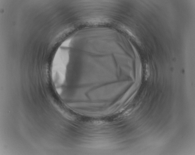 X0000076310590200610271941