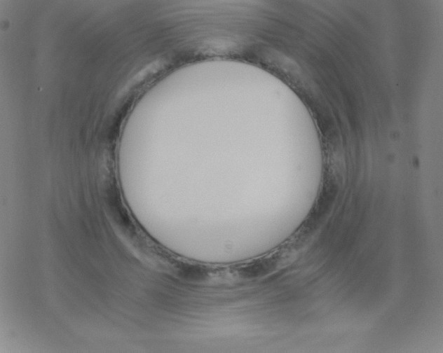 X0000076310591200610271941