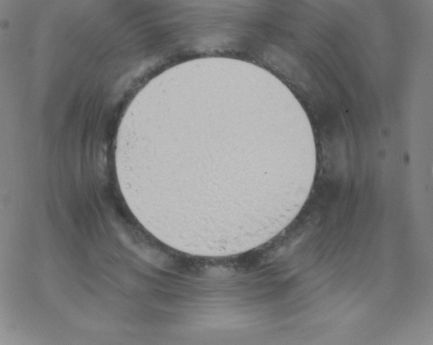 X0000076310592200610271941