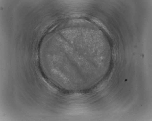 X0000076310593200610271941