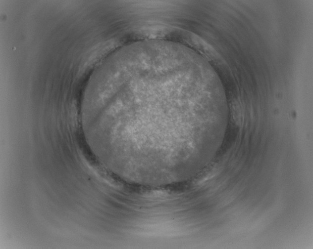 X0000076310594200610271941