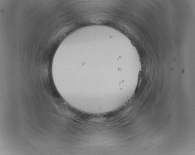 X0000076310595200610271941