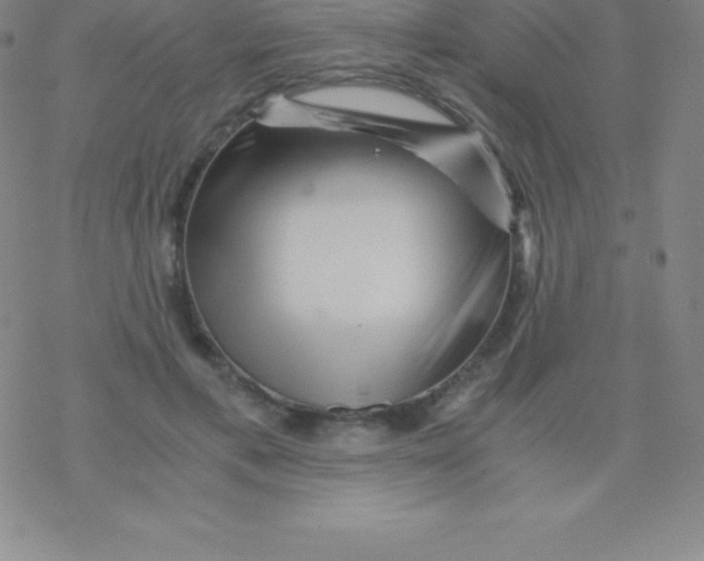 X0000076310597200610271941