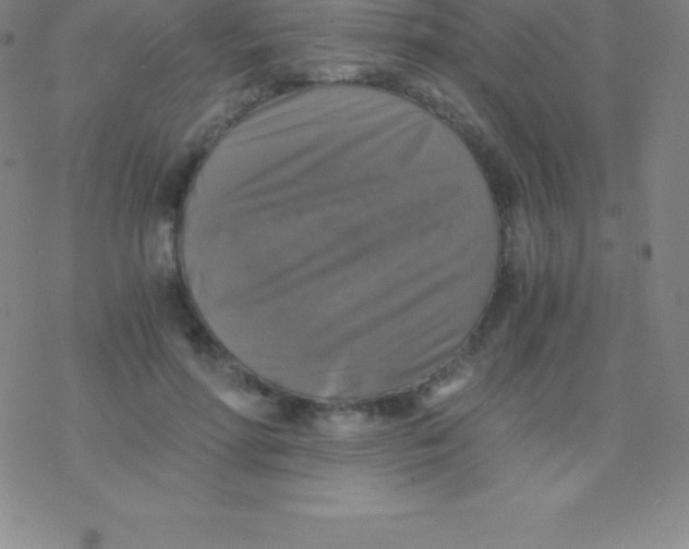 X0000076310598200610271941