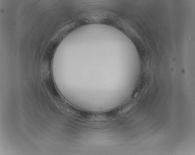 X0000076310599200610271941