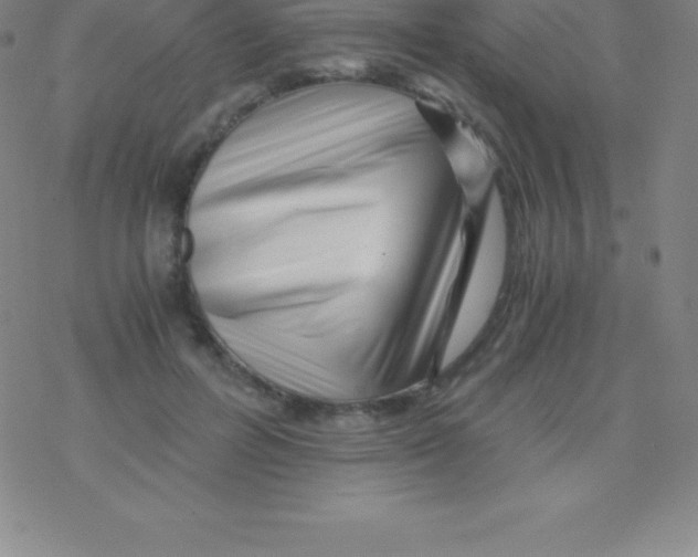 X0000076310600200610271941