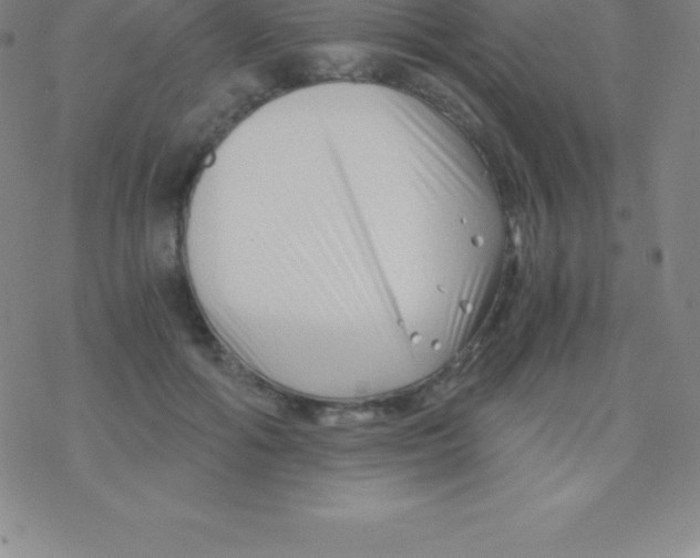 X0000076310602200610271941