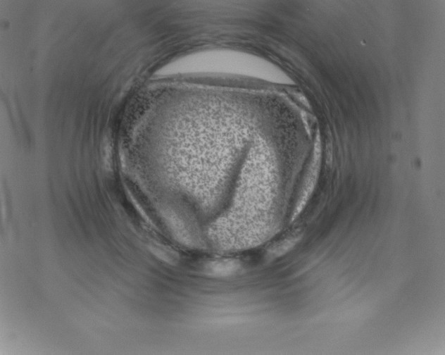 X0000076310604200610271941