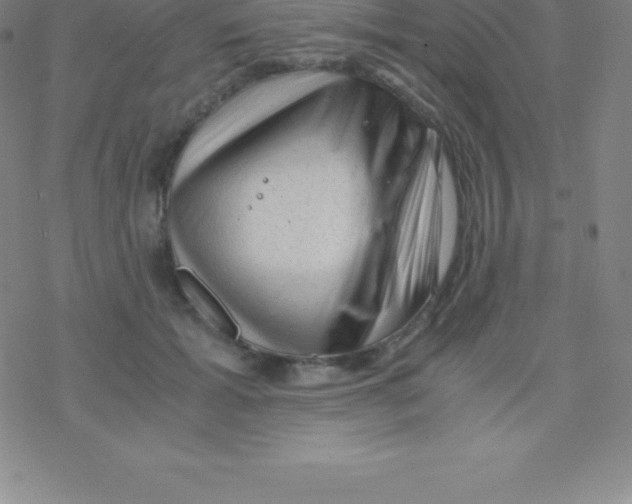 X0000076310605200610271941