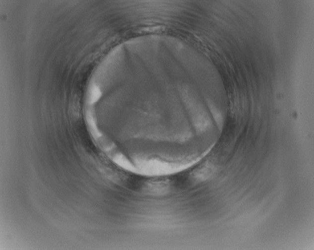 X0000076310606200610271941