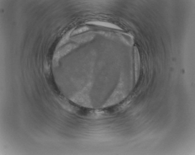 X0000076310607200610271941