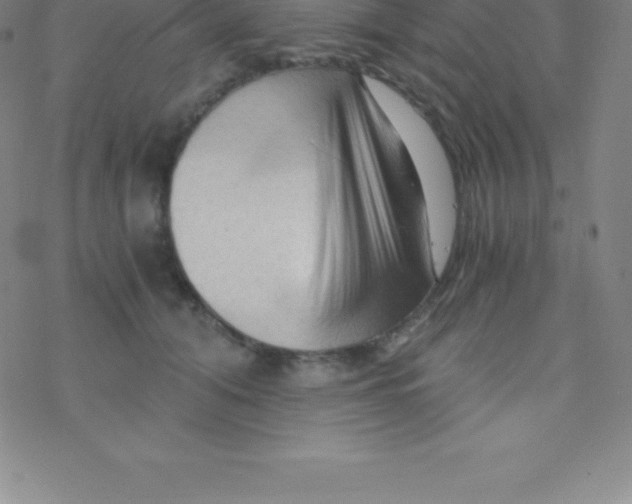 X0000076310608200610271941