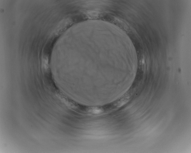 X0000076310610200610271941