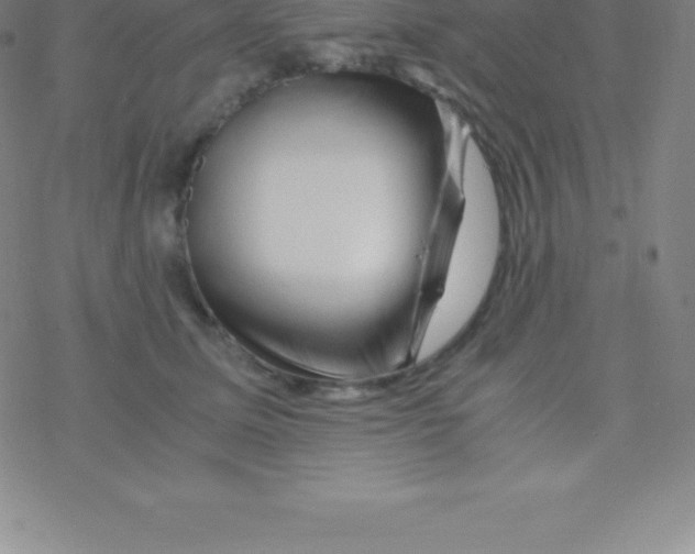 X0000076310611200610271941