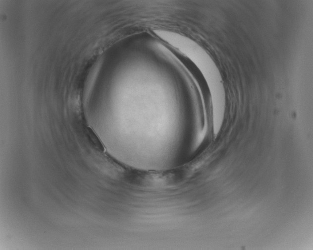 X0000076310613200610271941