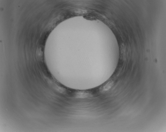 X0000076310614200610271941