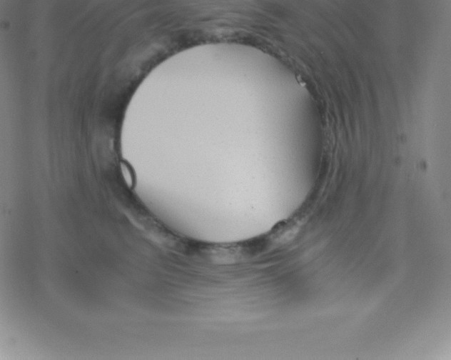 X0000076310615200610271941