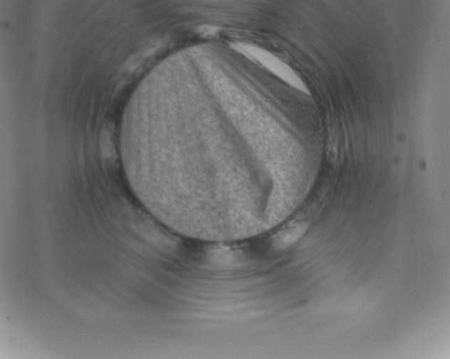 X0000076310616200610271941