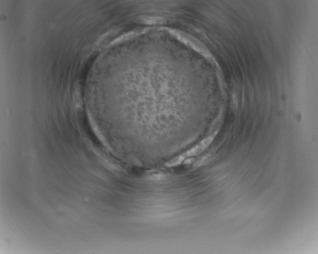 X0000076310620200610271941