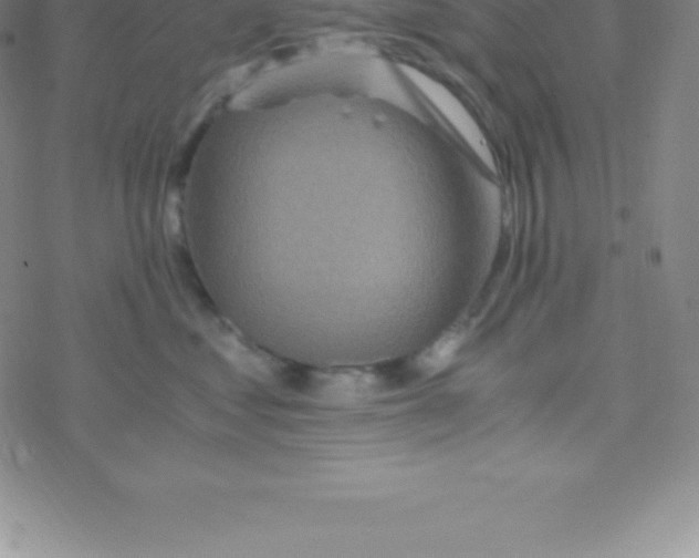 X0000076310621200610271941