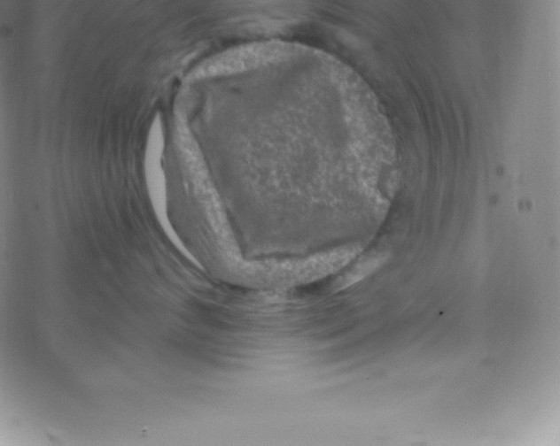 X0000076310624200610271941