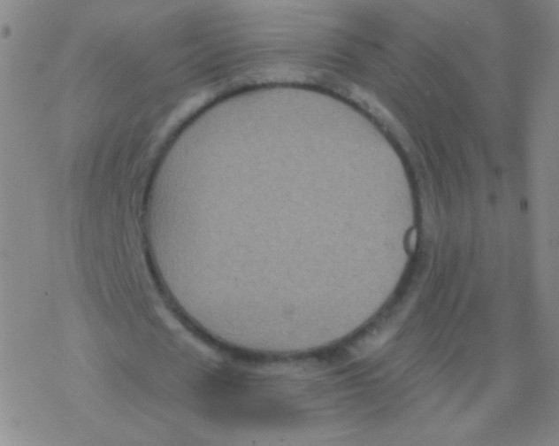 X0000076310625200610271940