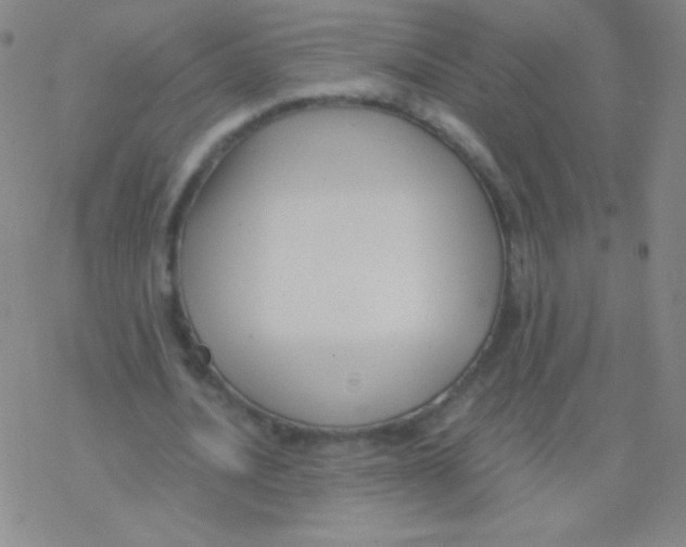 X0000076310628200610271940