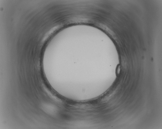 X0000076310629200610271940