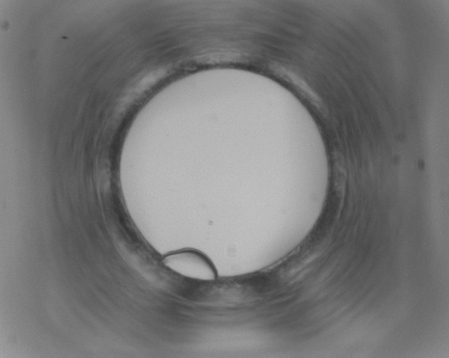 X0000076310631200610271940