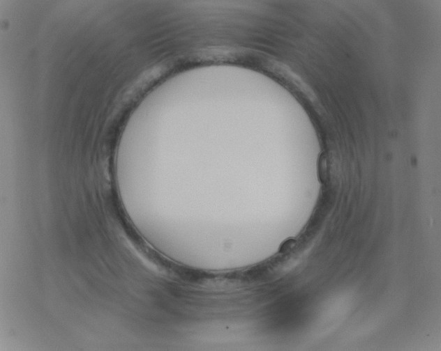 X0000076310633200610271940