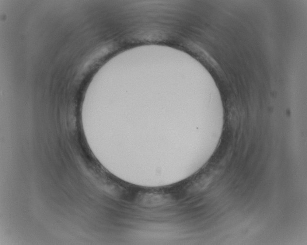 X0000076310635200610271940