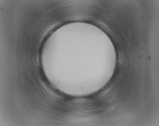 X0000076310636200610271940