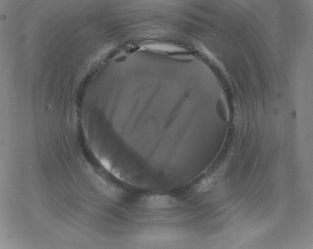 X0000076310637200610271940