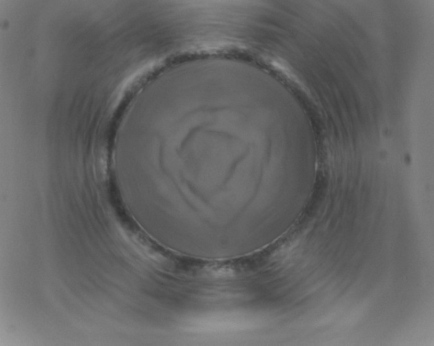 X0000076310640200610271940