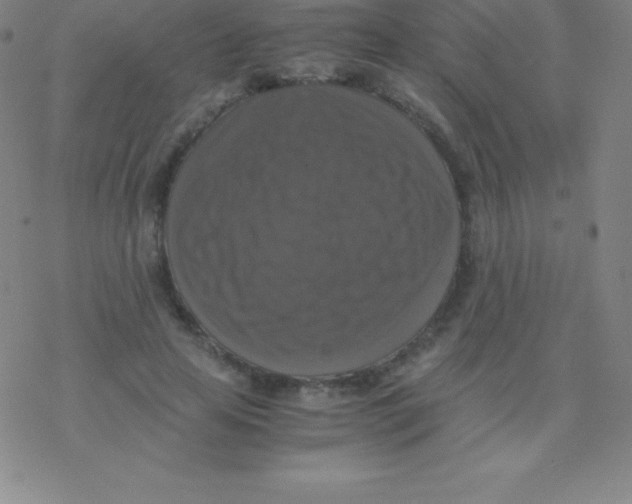 X0000076310641200610271940