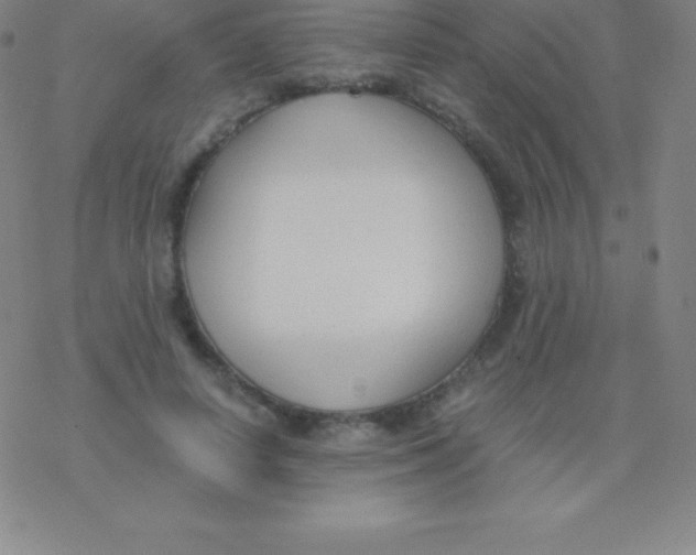 X0000076310642200610271940