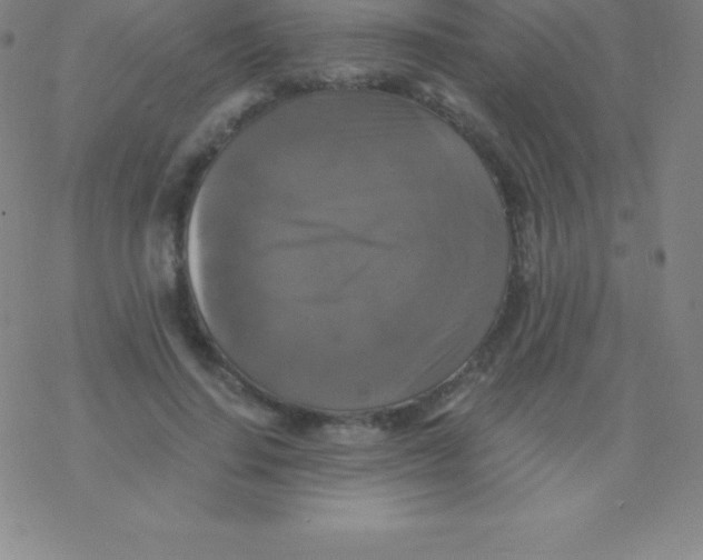 X0000076310644200610271940