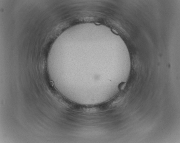 X0000076310645200610271940