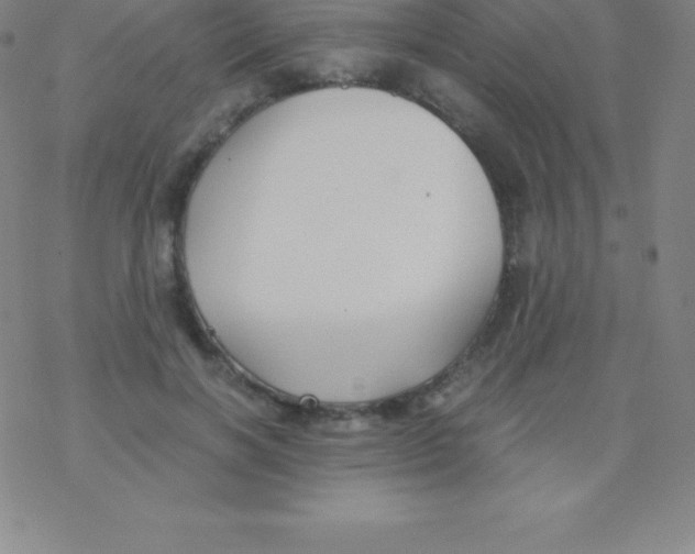 X0000076310646200610271940