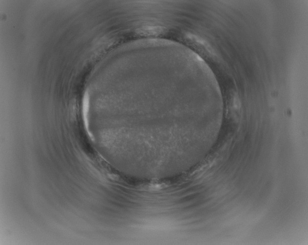 X0000076310647200610271940