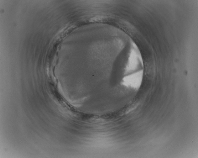 X0000076310648200610271940