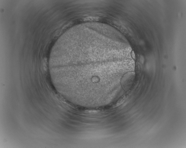 X0000076310649200610271940