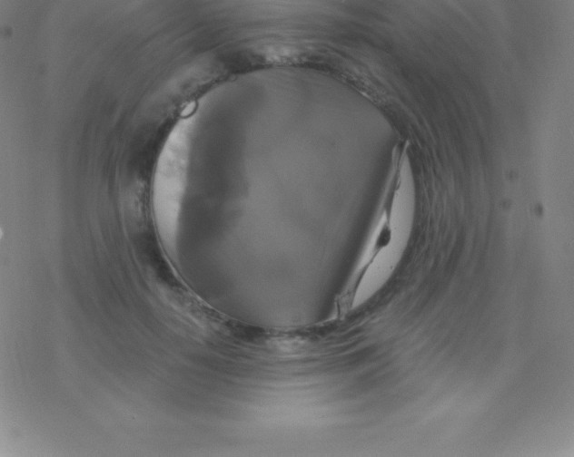 X0000076310650200610271940