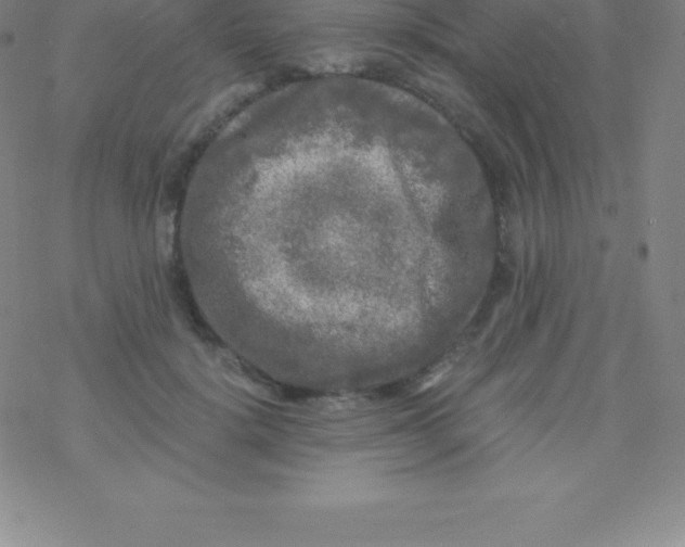 X0000076310652200610271940