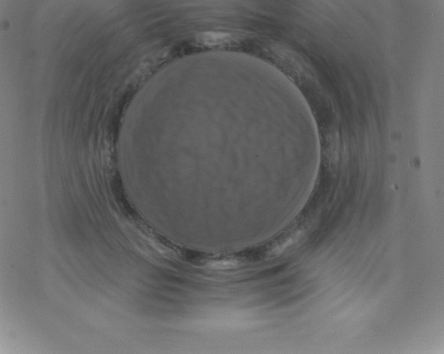 X0000076310653200610271940